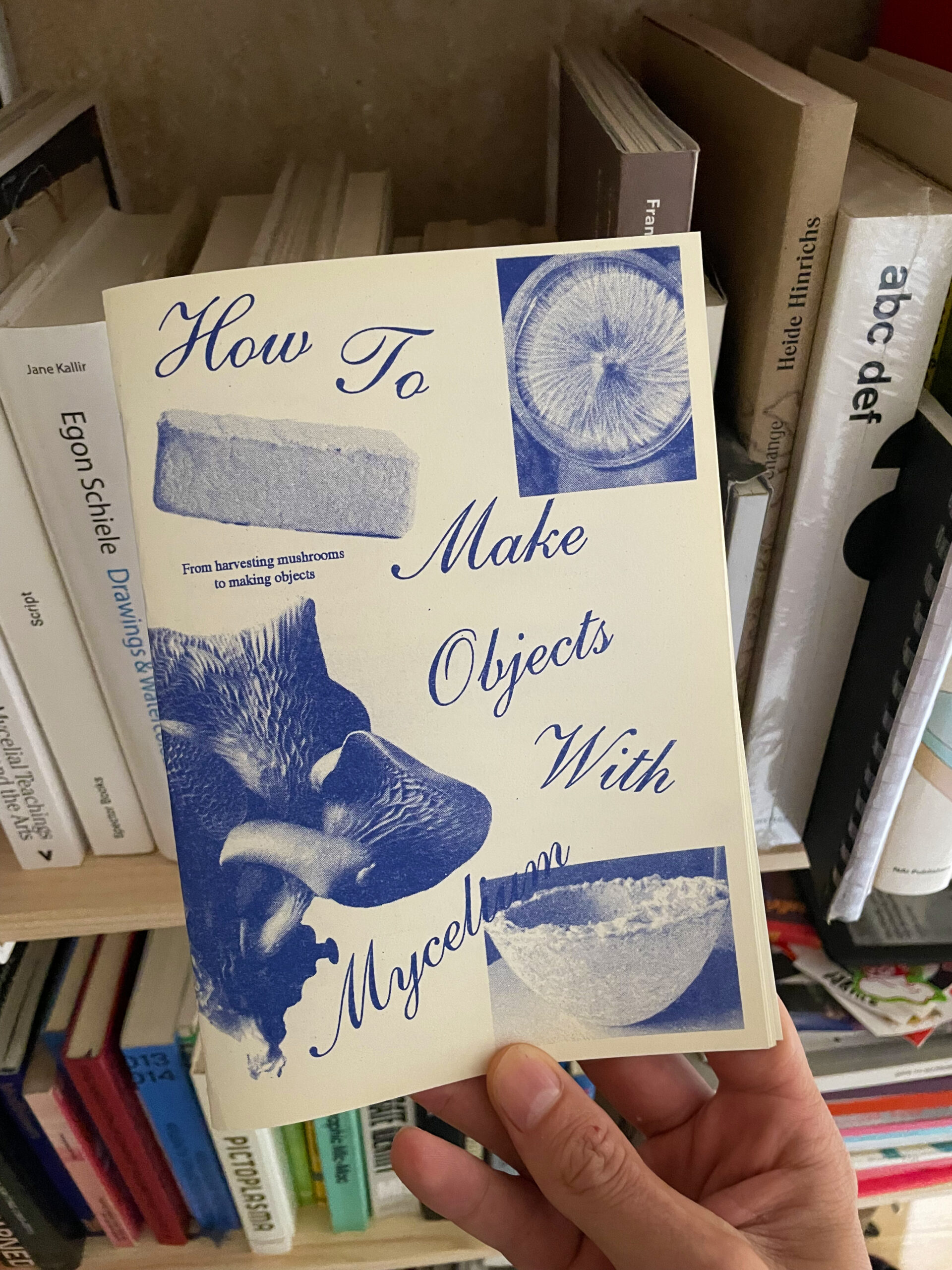 How To Make Objects With Mycelium